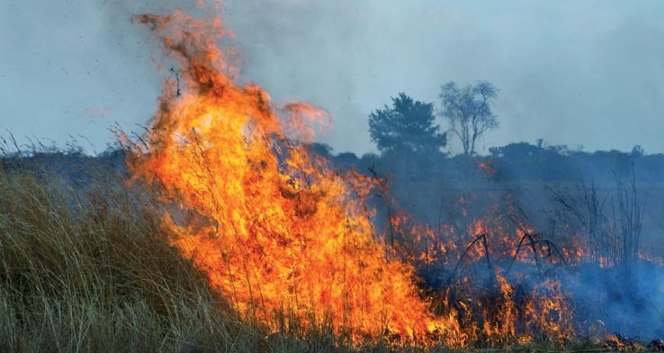 Herverzekering van catastroferisico, catastrofemodellen en de relatie met klimaatverandering