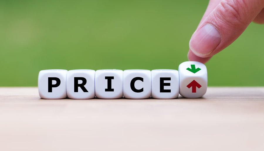 Unlocking the potential of pricing analytics in the P7C insurance industry