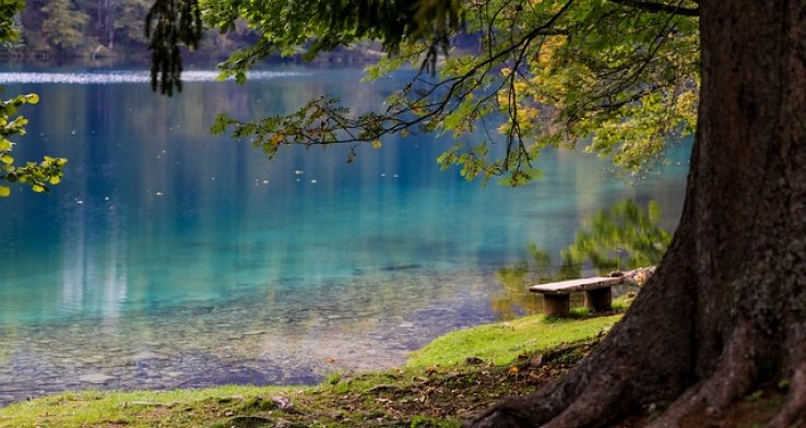 Au Bord du Lac d’Eté