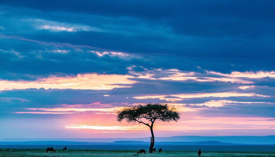 Health and wellbeing at a crossroads: A South African perspective