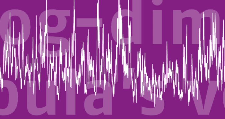 Hoog-dimensionale dynamische copula’s voor financiële crises