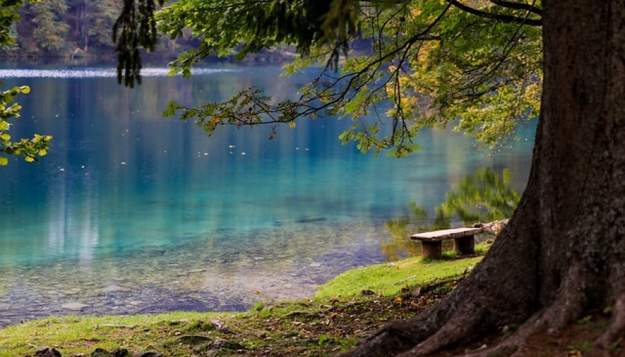 Au Bord du Lac d’Eté