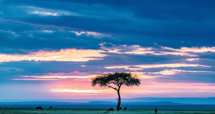 Health and wellbeing at a crossroads: A South African perspective
