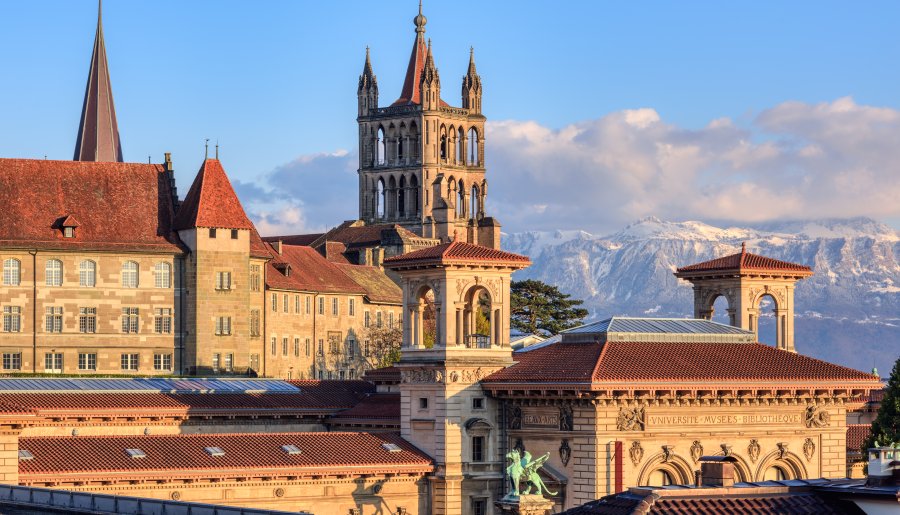 International Summer School (SAA)