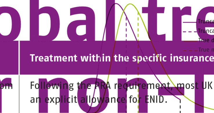 Global treatment of ENID for non-life insurers