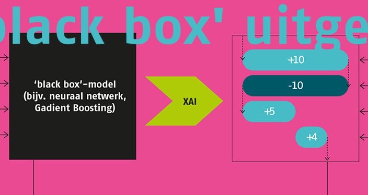 De 'black box' uitgepakt: de mogelijke rol van Explainable Artificial Intelligence voor de verzekeringswereld