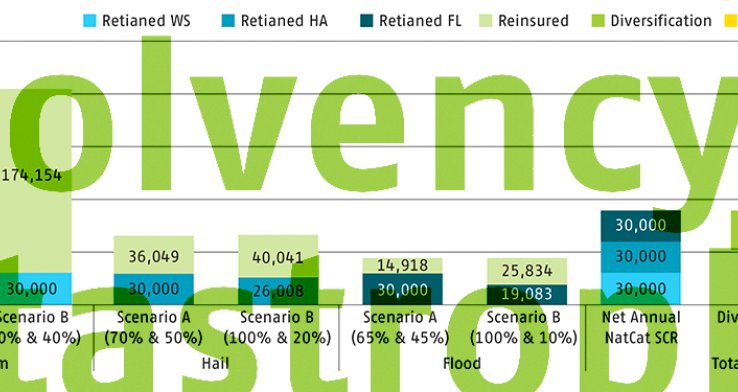Solvency II 2020 review: effects on catastrophe XL reinstatements for Dutch exposures