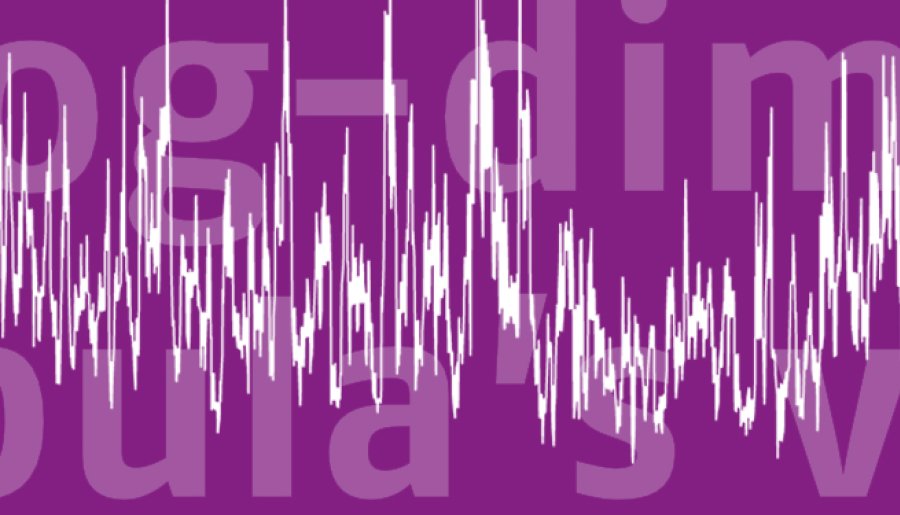 Hoog-dimensionale dynamische copula’s voor financiële crises