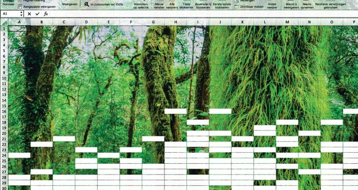 Welcome to the jungle – the complexity of end-user computing